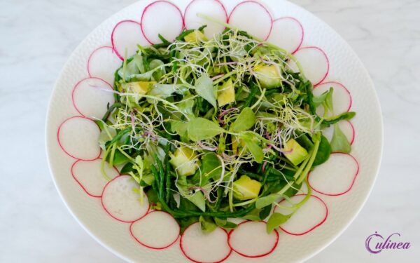 Salade van postelein, waterkers en radijsjes