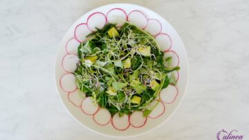 Salade van postelein, waterkers en radijsjes