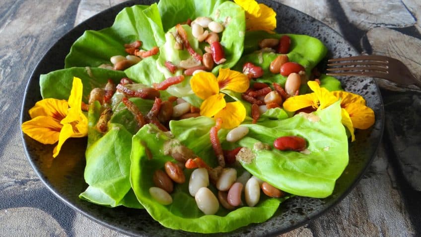 Salade met Hollandse bonenmix en uitgebakken spekjes