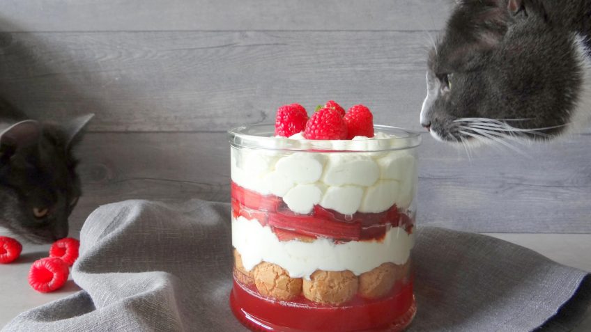 Rabarber Trifle met Prosecco Jelly