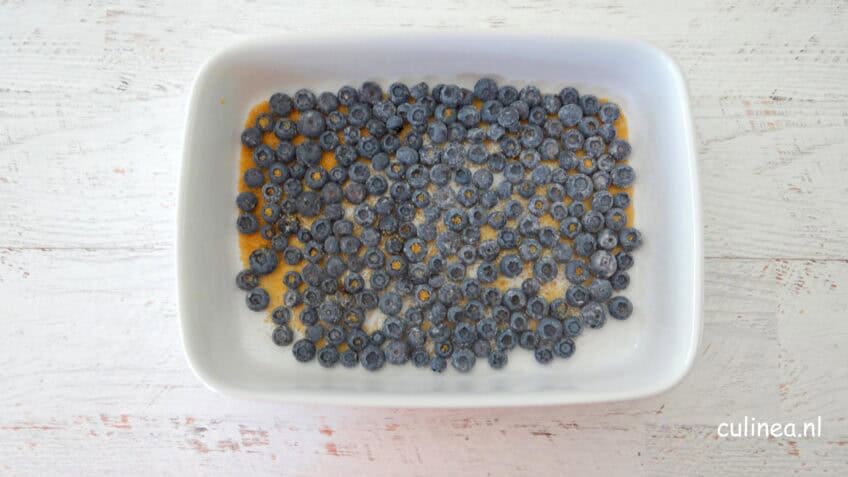 Geitenyoghurt ijs met blauwe bessen