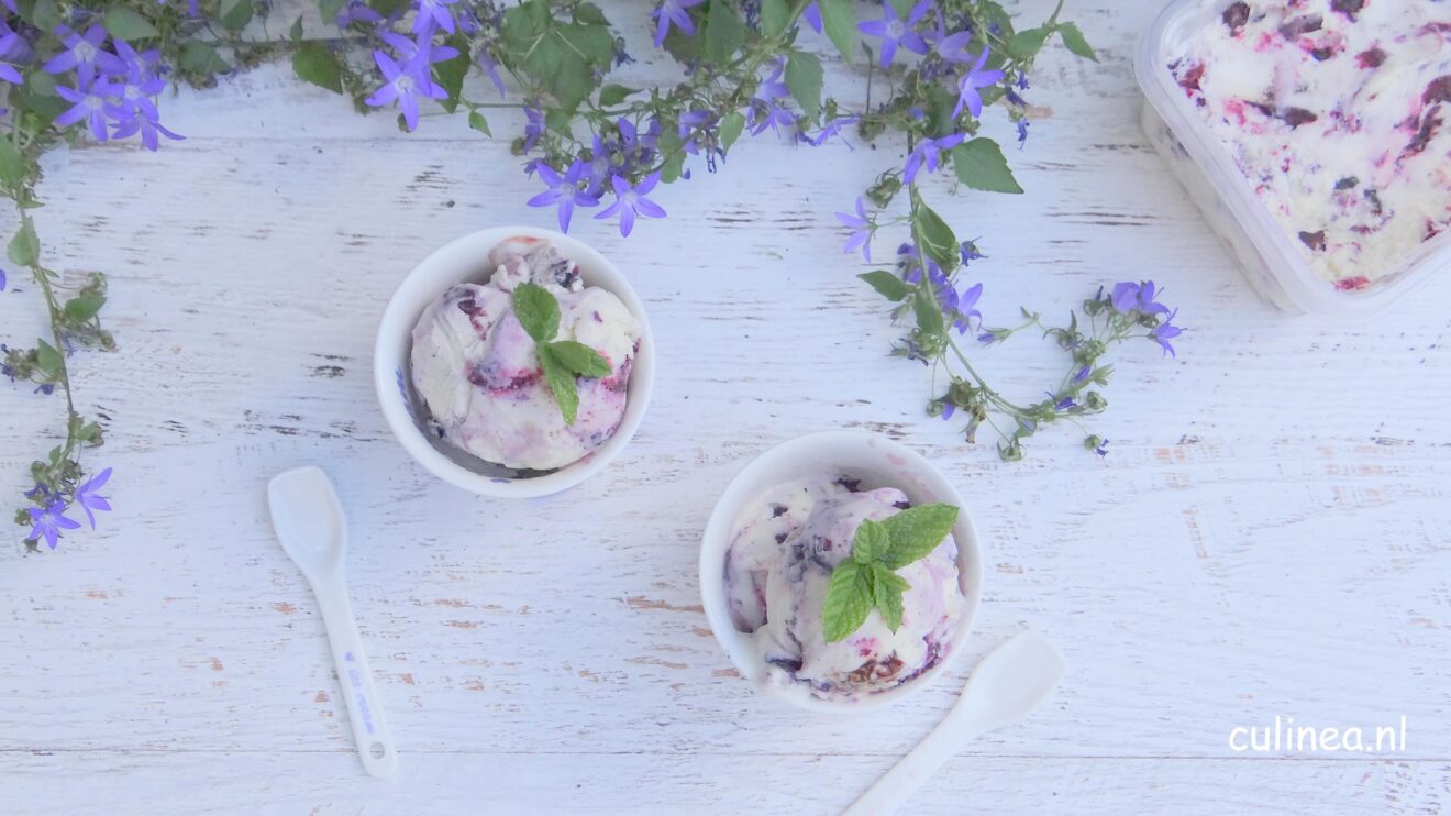 Geitenyoghurt ijs met blauwe bessen