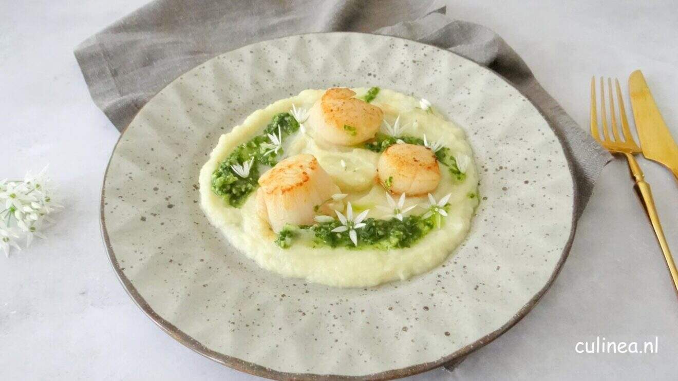 Coquilles met bloemkoolpuree en pistou