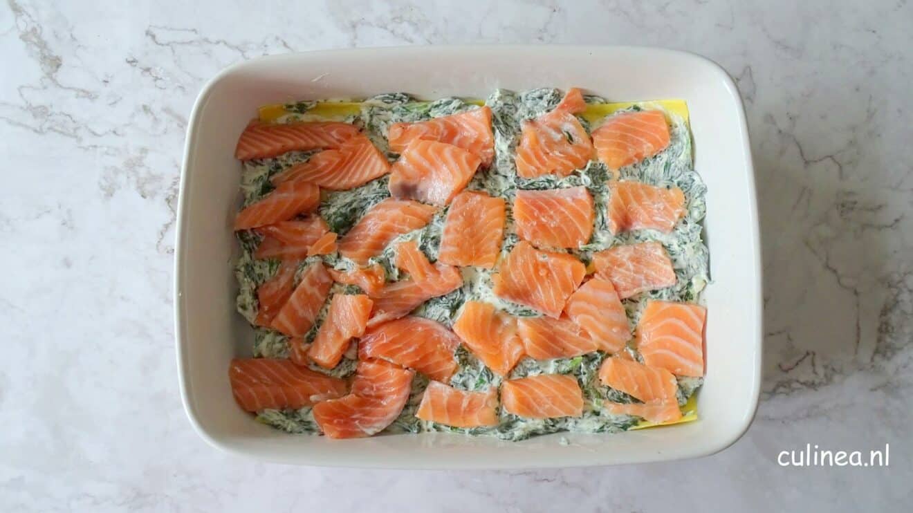 Lasagne met zalm en spinazie