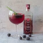 Hibiscus bramen gin cocktail