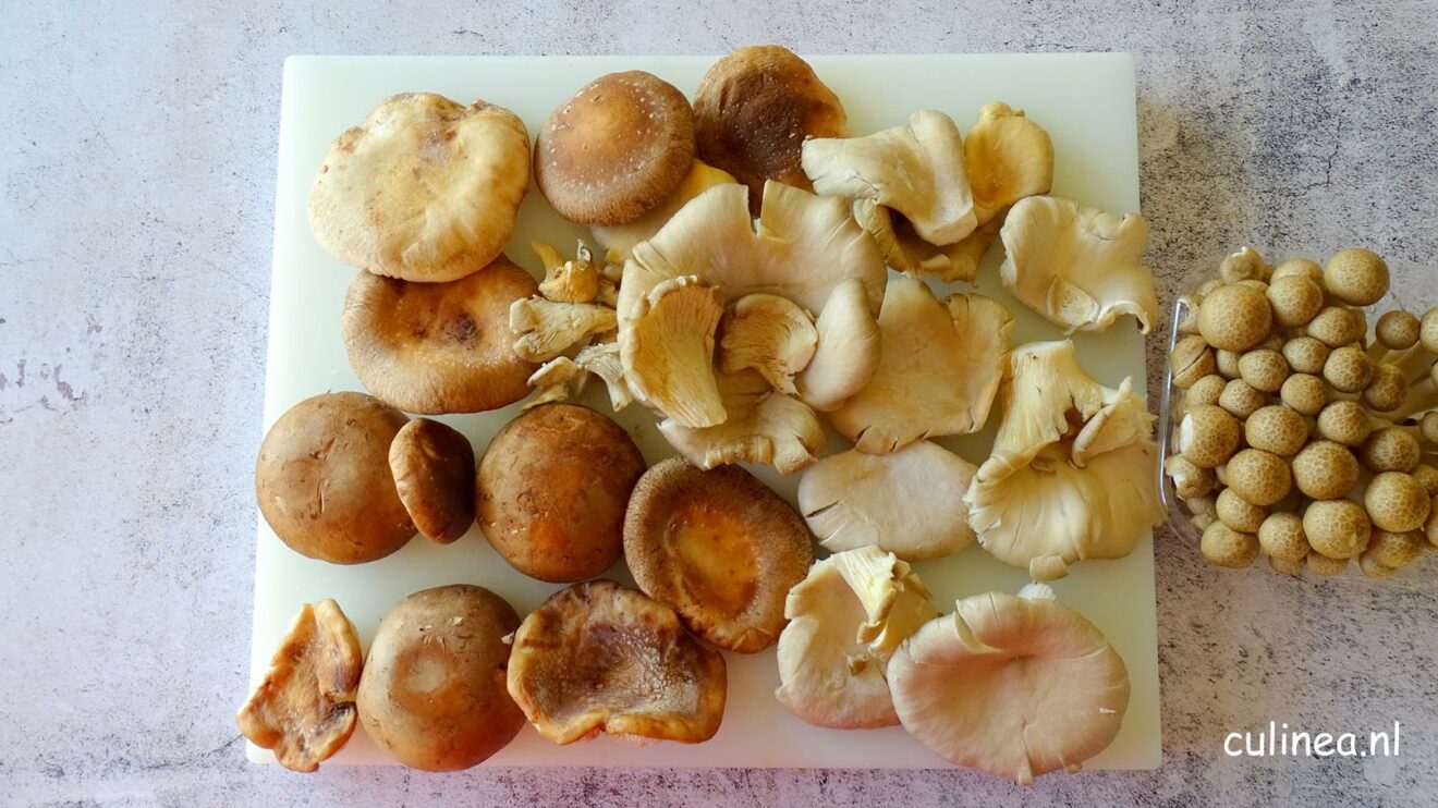 Gnocchi met paddenstoelenroomsaus