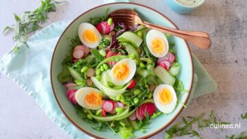 Groene salade met ei en dragondressing