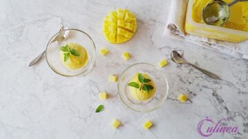 Mango sorbetijs zelf maken