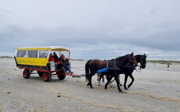 Uitwaaien op Terschelling