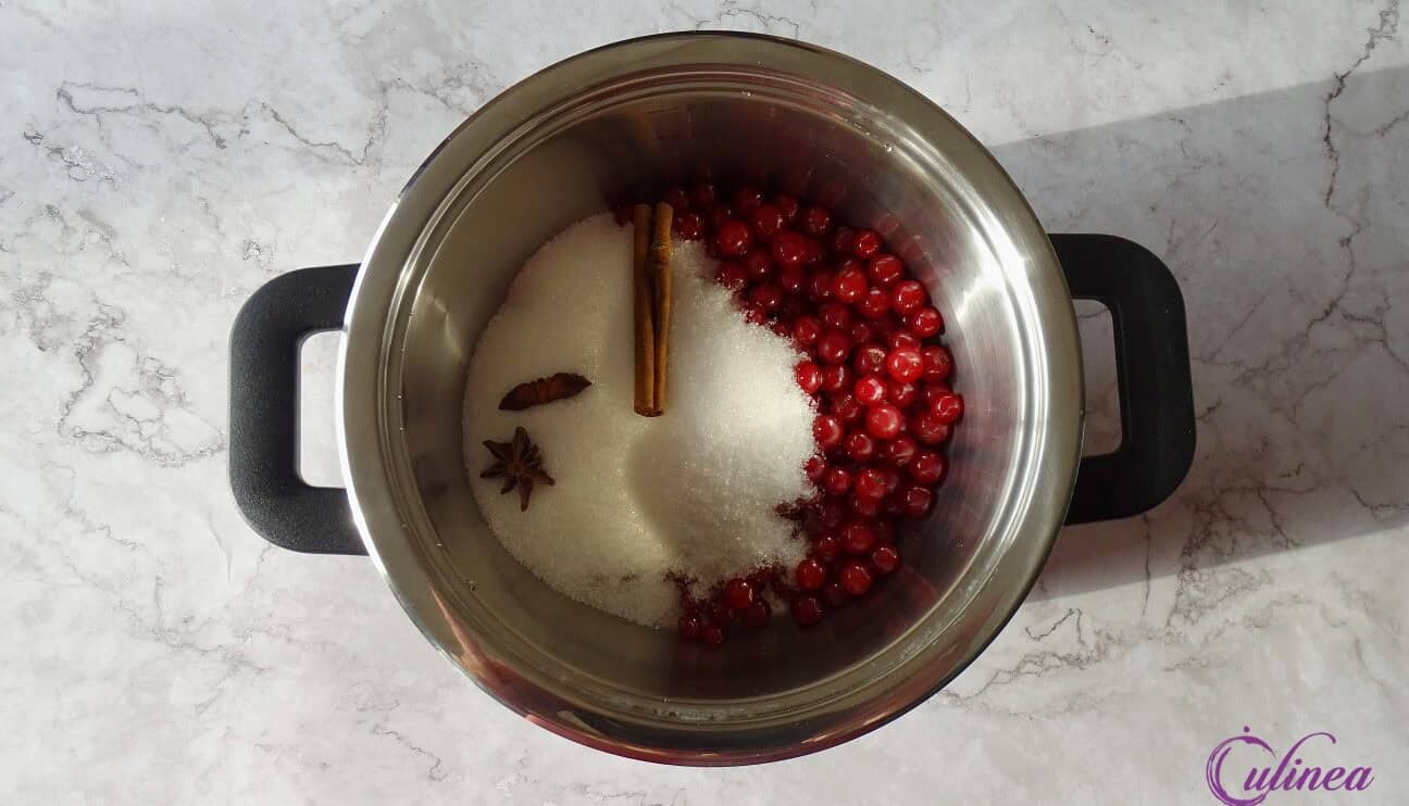 Cranberry rode bessen gin cocktail