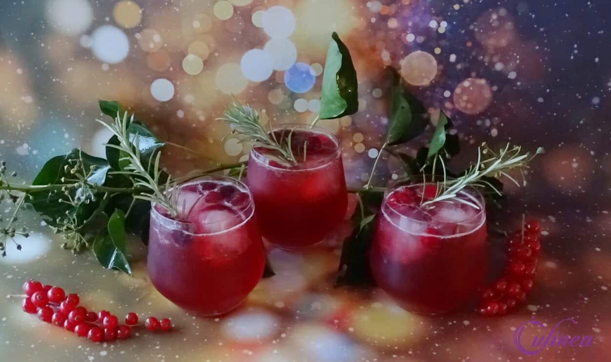 Cranberry rode bessen gin cocktail