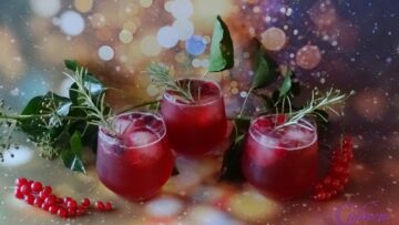 Cranberry rode bessen gin cocktail